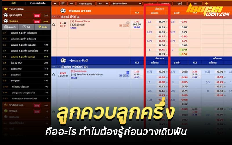 ลูกควบลูกครึ่ง คืออะไร