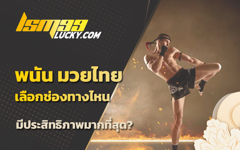 พนันมวย
