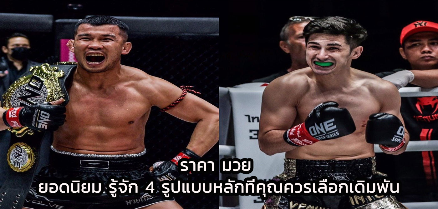 ราคา มวย