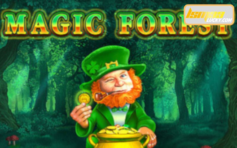 Magic Forest