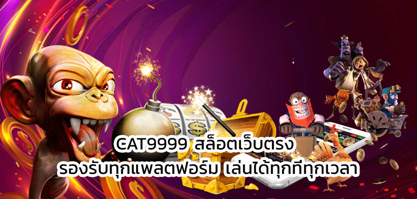 cat9999