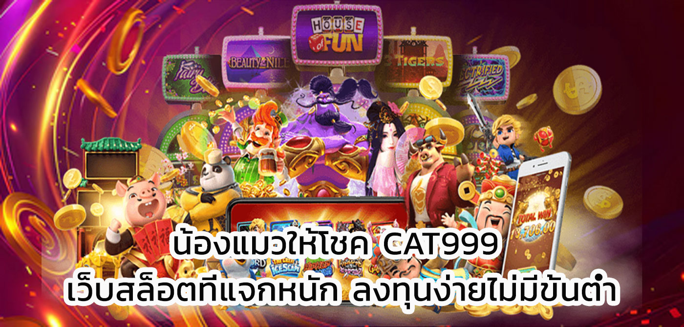 น้องแมวให้โชค cat999