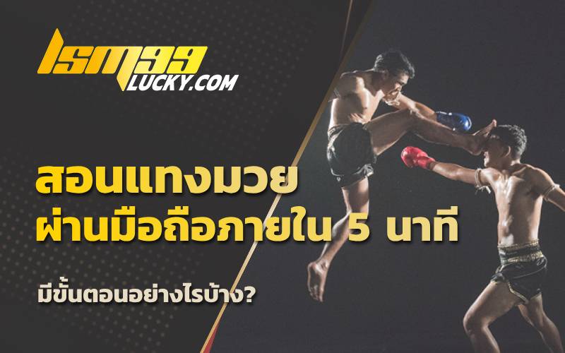 เว็บ มวย