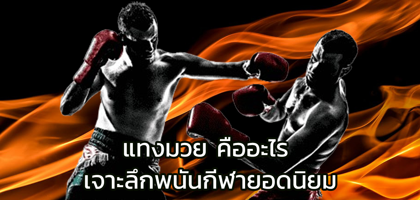 แทงมวย